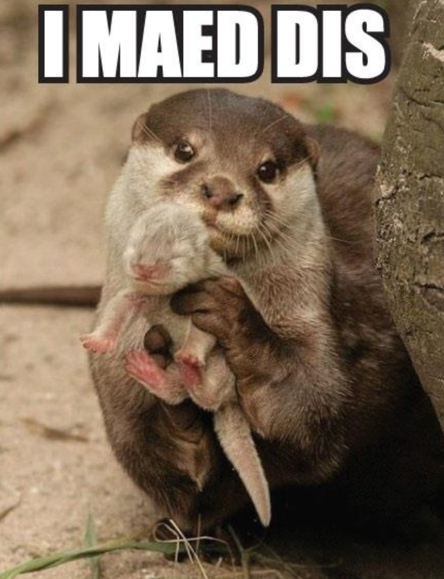 I MAED DIS
