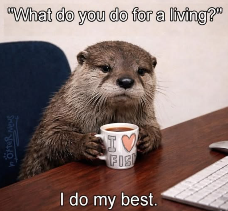 In örter News "What do you do for a living?" IV H FIS I do my best.