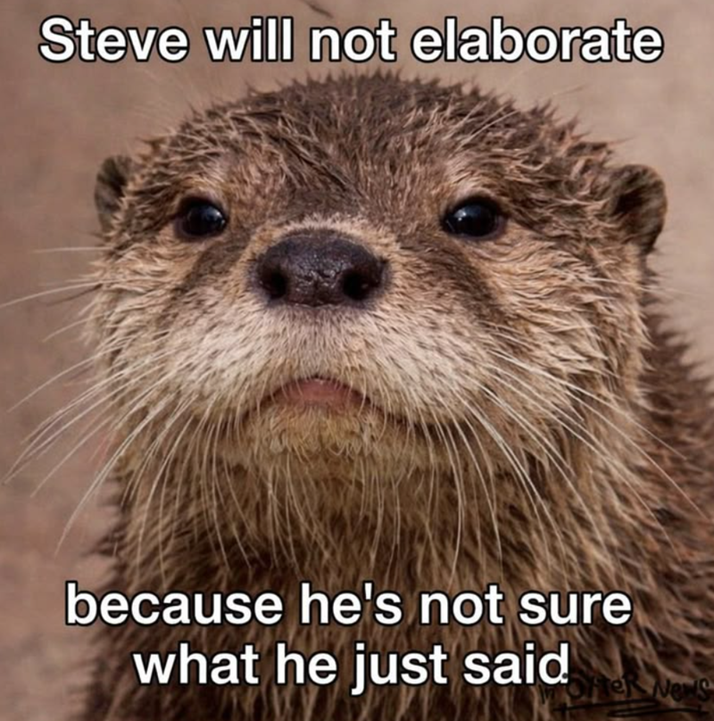 Steve will not elaborate because he's not sure what he just said OFTER News