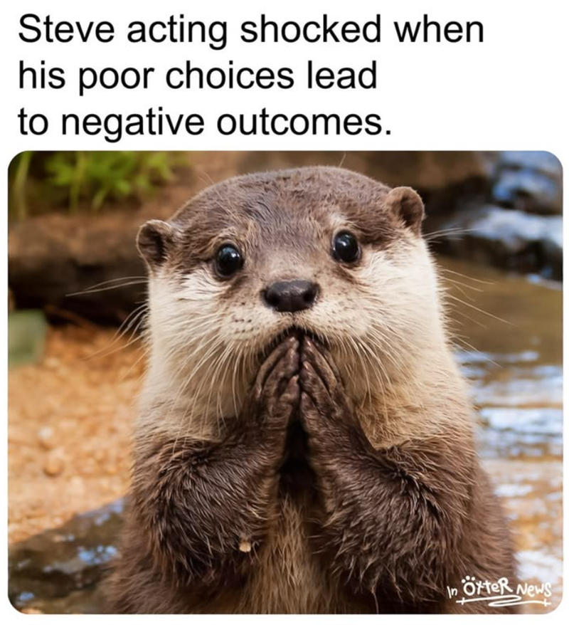 Steve acting shocked when his poor choices lead to negative outcomes. In ötter News