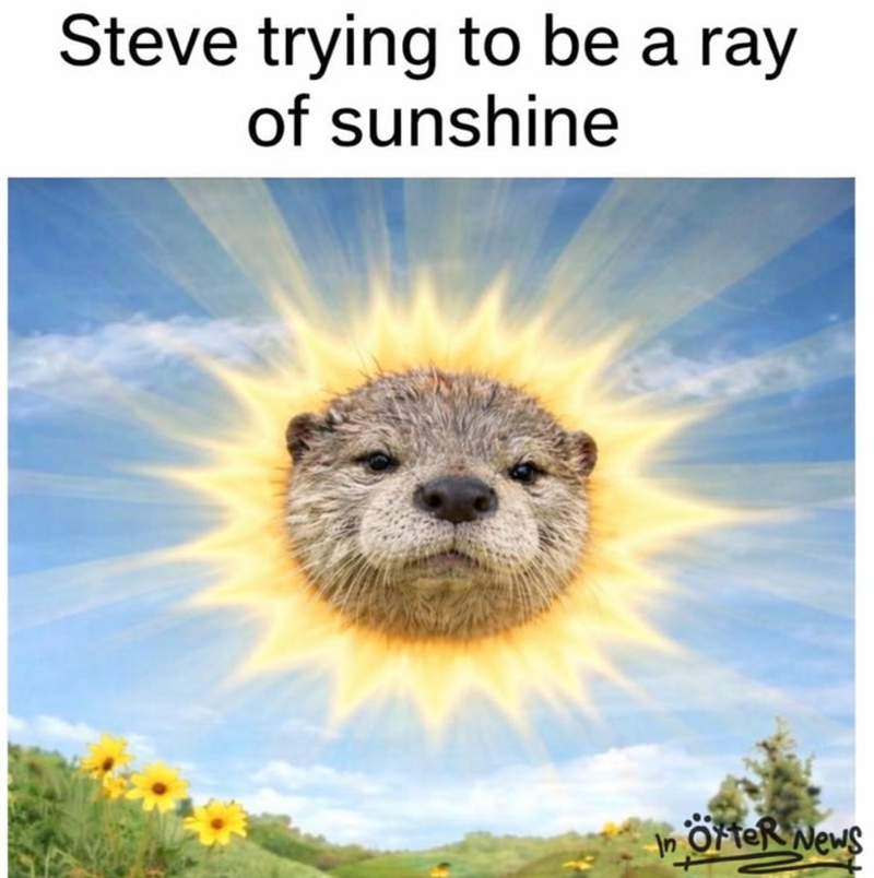 Steve trying to be a ray of sunshine In Offer News