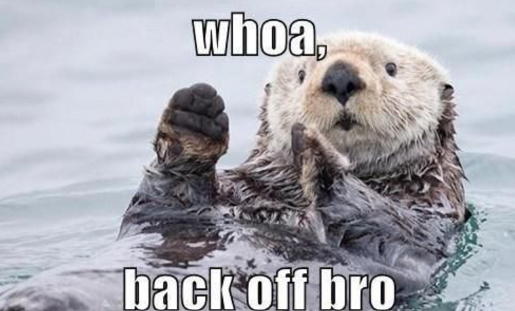 whoa. back off bro