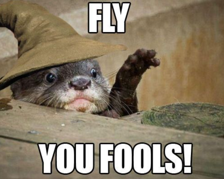 FLY YOU FOOLS!