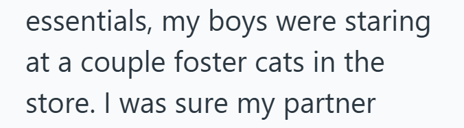 essentials, my boys were staring at a couple foster cats in the store. I was sure my partner