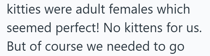 kitties were adult females which seemed perfect! No kittens for us. But of course we needed to go