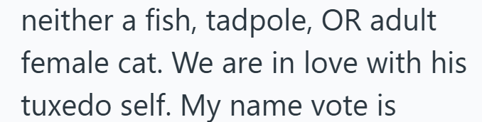 neither a fish, tadpole, OR adult female cat. We are in love with his tuxedo self. My name vote is