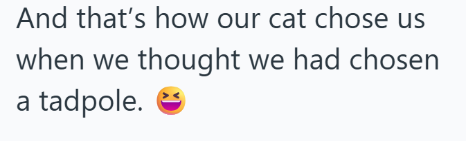 And that's how our cat chose us when we thought we had chosen a tadpole.