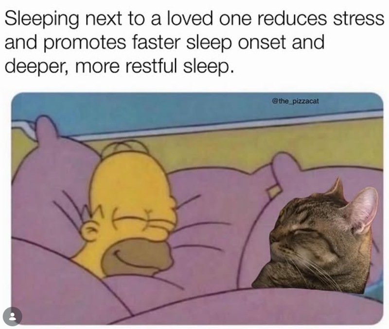 Sleeping next to a loved one reduces stress. and promotes faster sleep onset and deeper, more restful sleep. @the_pizzacat