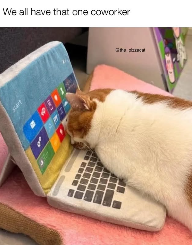 We all have that one coworker start 00 D @the_pizzacat