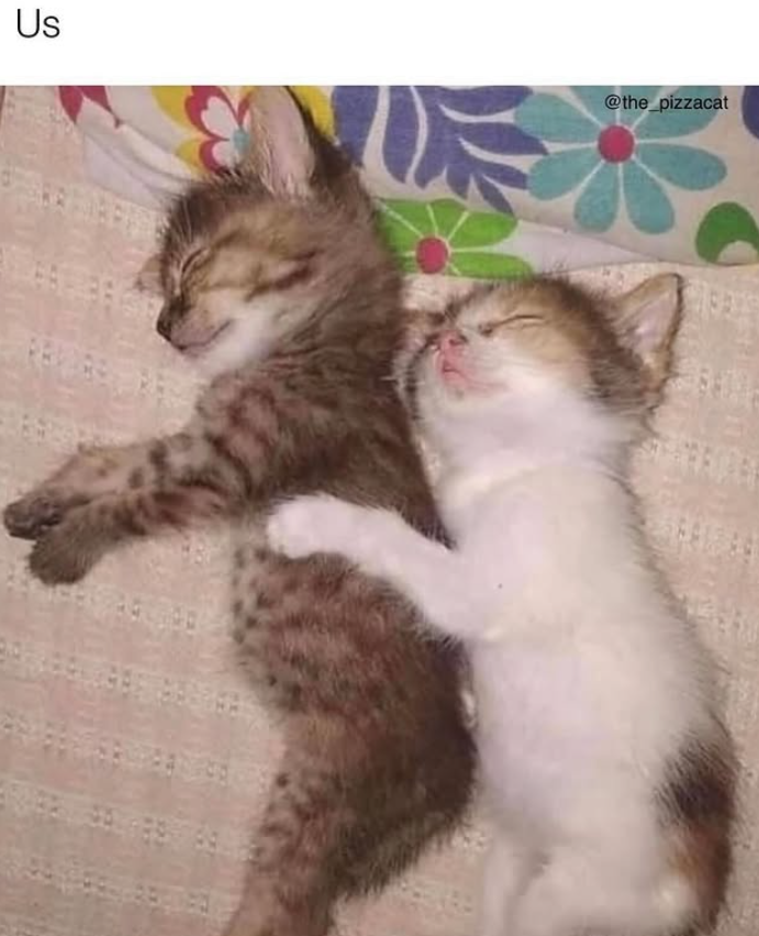 Us @the_pizzacat