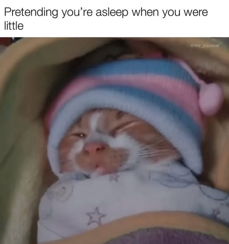 Pretending you're asleep when you were little ΣΕ @the_pizzacat