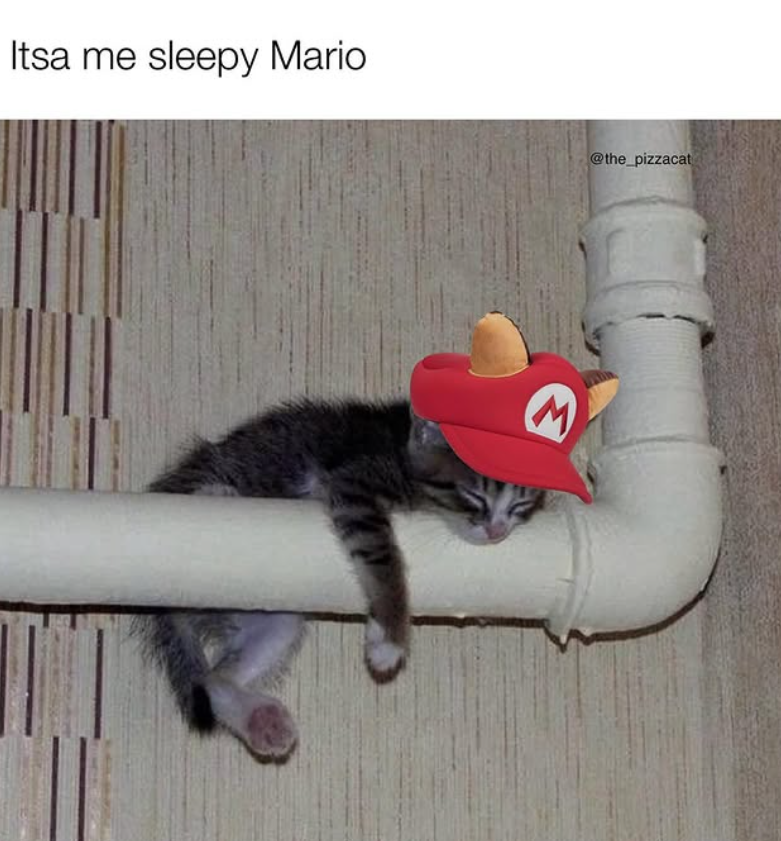 Itsa me sleepy Mario M @the_pizzacat