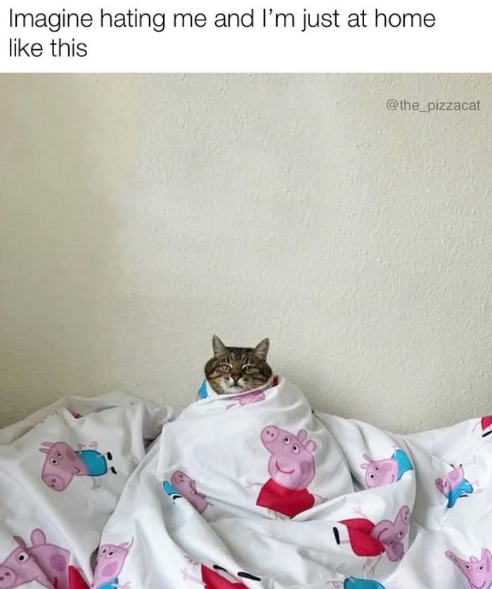 Imagine hating me and I'm just at home like this @the_pizzacat