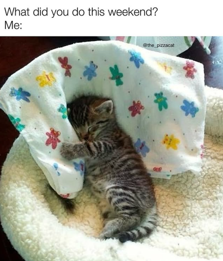 What did you do this weekend? Me: @the_pizzacat * 骨