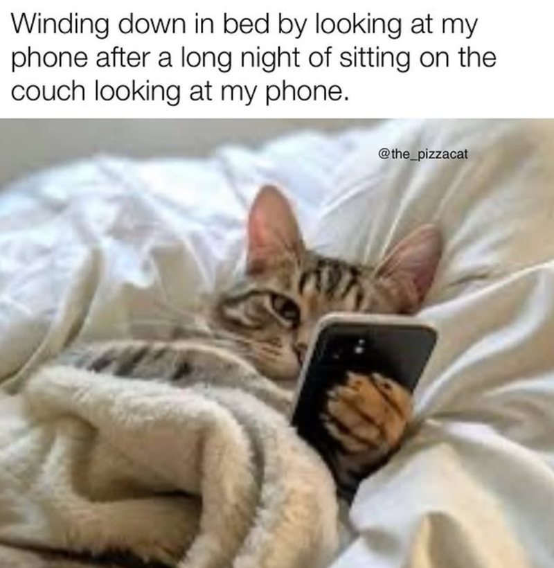 Winding down in bed by looking at my phone after a long night of sitting on the couch looking at my phone. @the_pizzacat