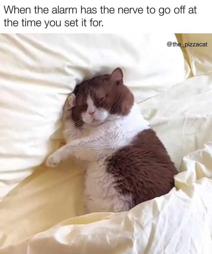 When the alarm has the nerve to go off at the time you set it for. @the_pizzacat