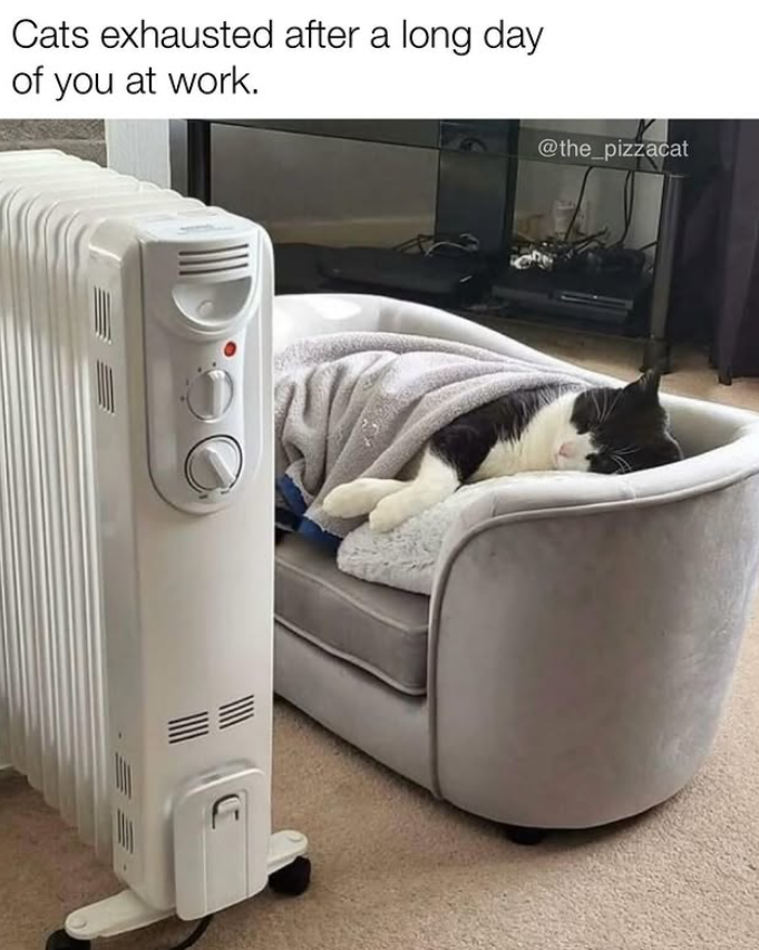 Cats exhausted after a long day of you at work. @the_pizzacat