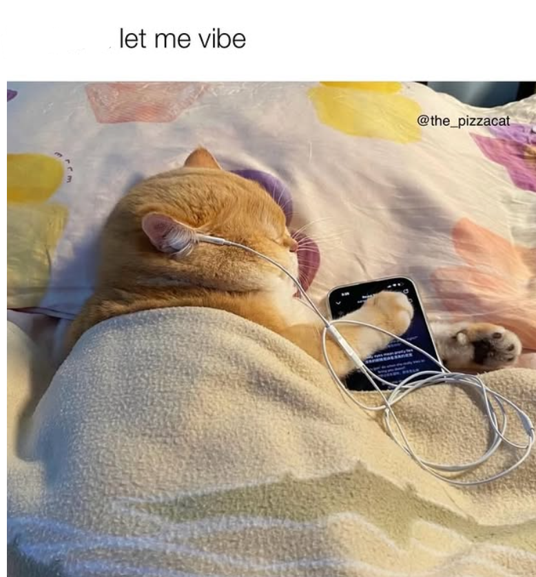 let me vibe @the_pizzacat