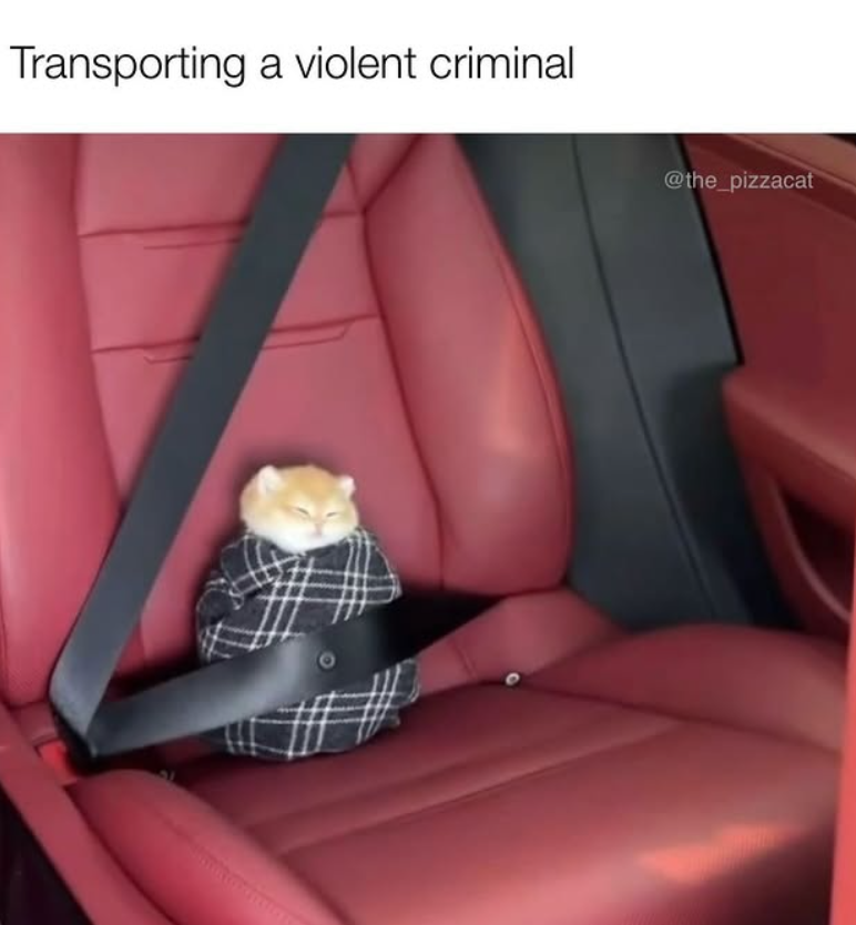 Transporting a violent criminal @the_pizzacat