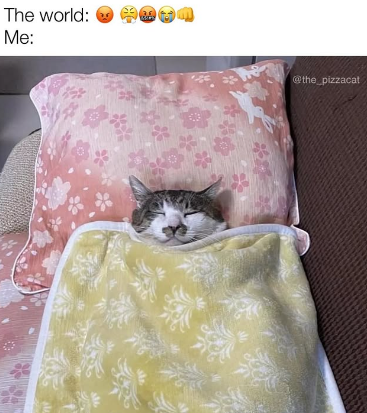 The world: Me: 35 &$!% @the_pizzacat