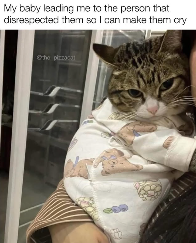 My baby leading me to the person that disrespected them so I can make them cry @the_pizzacat