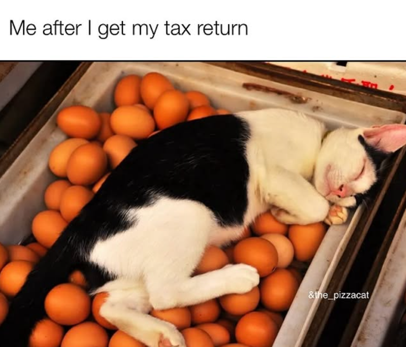 Me after I get my tax return &the pizzacat