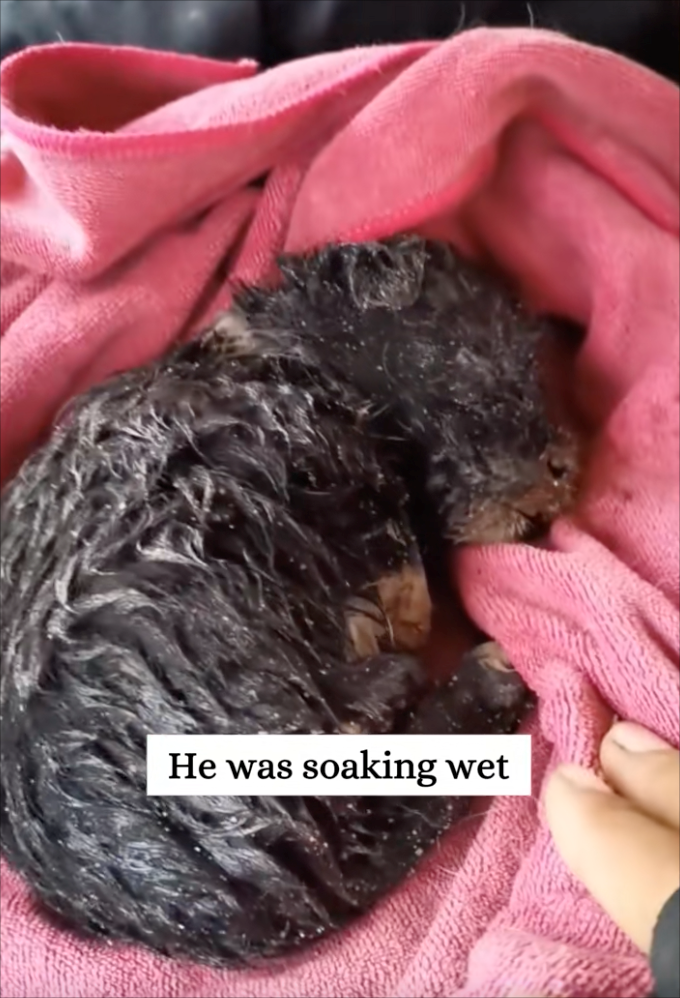 He was soaking wet