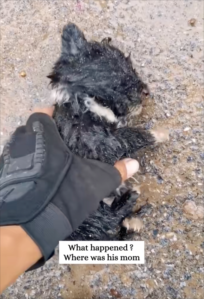 What happened? Where was his mom