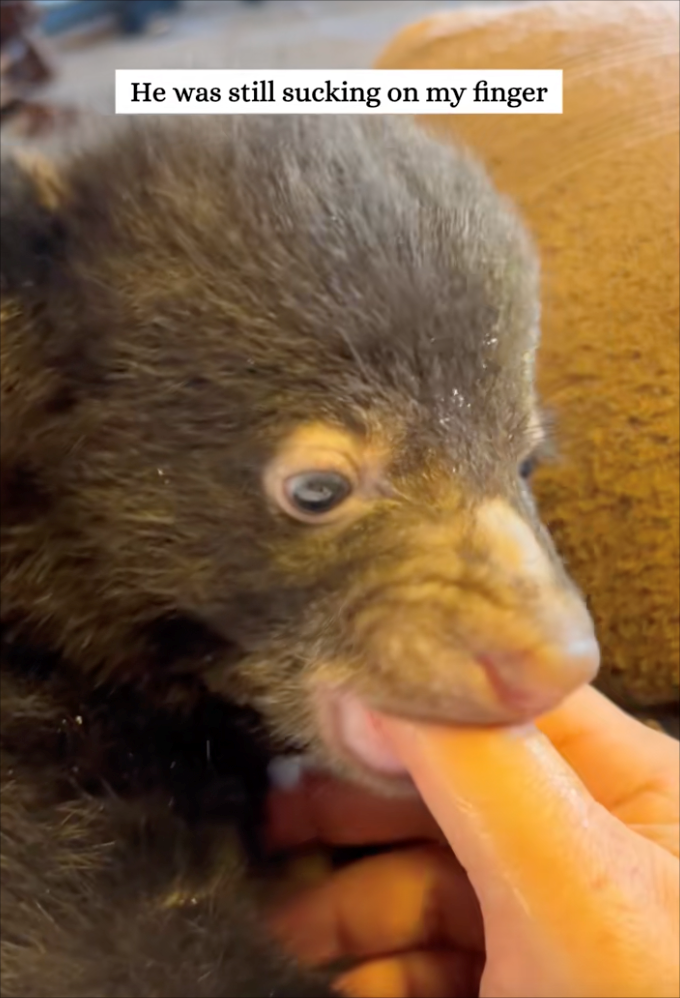 He was still sucking on my finger