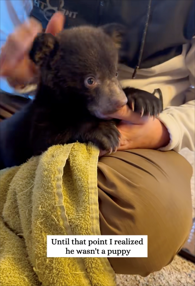 T Until that point I realized he wasn't a puppy