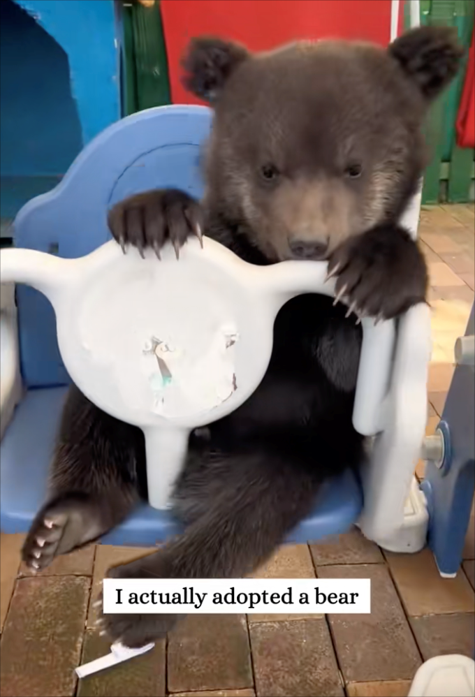 I actually adopted a bear