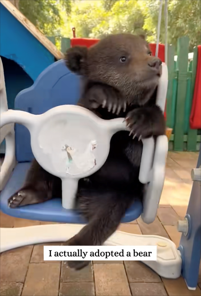 I actually adopted a bear
