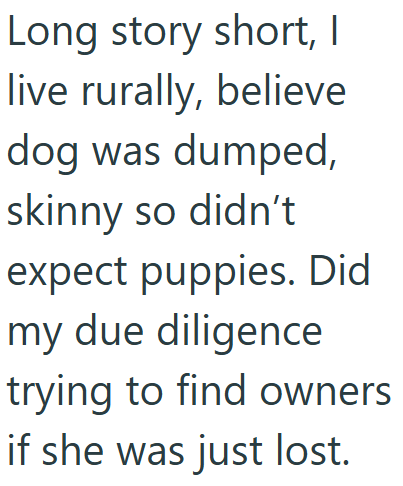 Long story short, I live rurally, believe dog was dumped, skinny so didn't expect puppies. Did my due diligence trying to find owners if she was just lost.