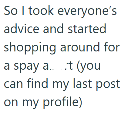 So I took everyone's advice and started shopping around for a spay at (you can find my last post on my profile)
