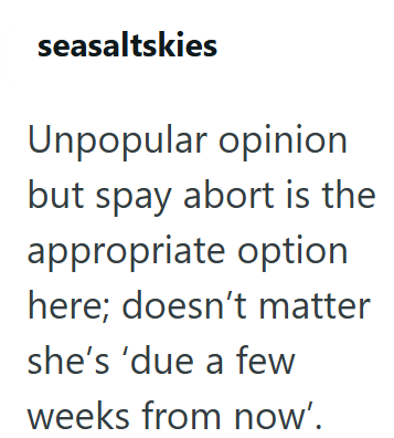 seasaltskies Unpopular opinion but spay abort is the appropriate option here; doesn't matter she's 'due a few weeks from now'.