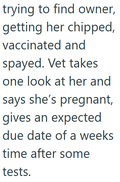 trying to find owner, getting her chipped, vaccinated and spayed. Vet takes one look at her and says she's pregnant, gives an expected due date of a weeks time after some tests.