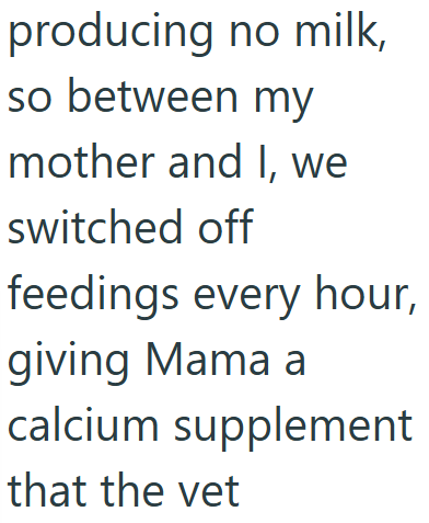 producing no milk, so between my mother and I, we switched off feedings every hour, giving Mama a calcium supplement that the vet