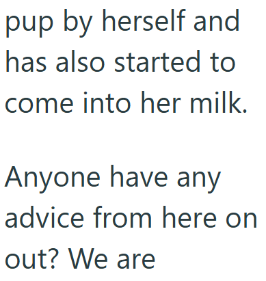 pup by herself and has also started to come into her milk. Anyone have any advice from here on out? We are