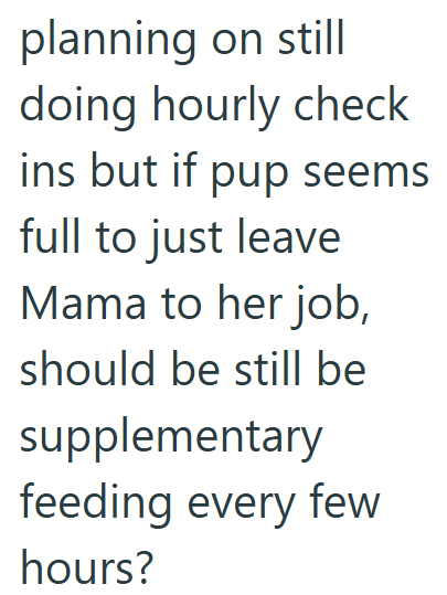planning on still doing hourly check ins but if pup seems full to just leave Mama to her job, should be still be supplementary feeding every few hours?