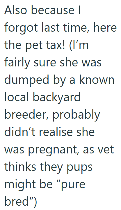 Also because I forgot last time, here the pet tax! (I'm fairly sure she was dumped by a known local backyard breeder, probably didn't realise she was pregnant, as vet thinks they pups might be "pure bred")