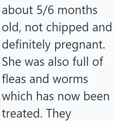 about 5/6 months old, not chipped and definitely pregnant. She was also full of fleas and worms which has now been treated. They