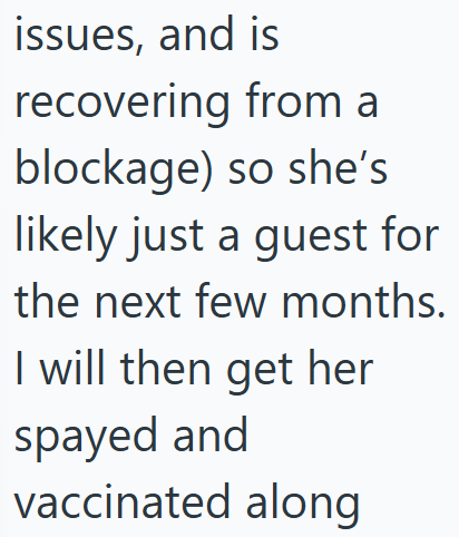 issues, and is recovering from a blockage) so she's likely just a guest for the next few months. I will then get her spayed and vaccinated along