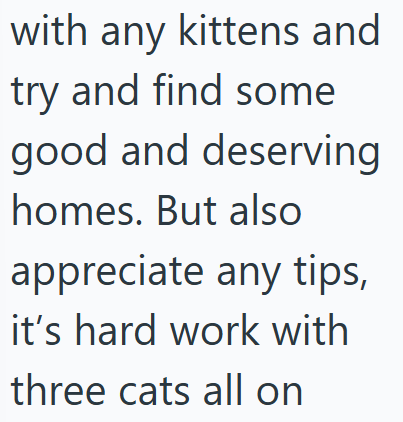 with any kittens and try and find some good and deserving homes. But also appreciate any tips, it's hard work with three cats all on