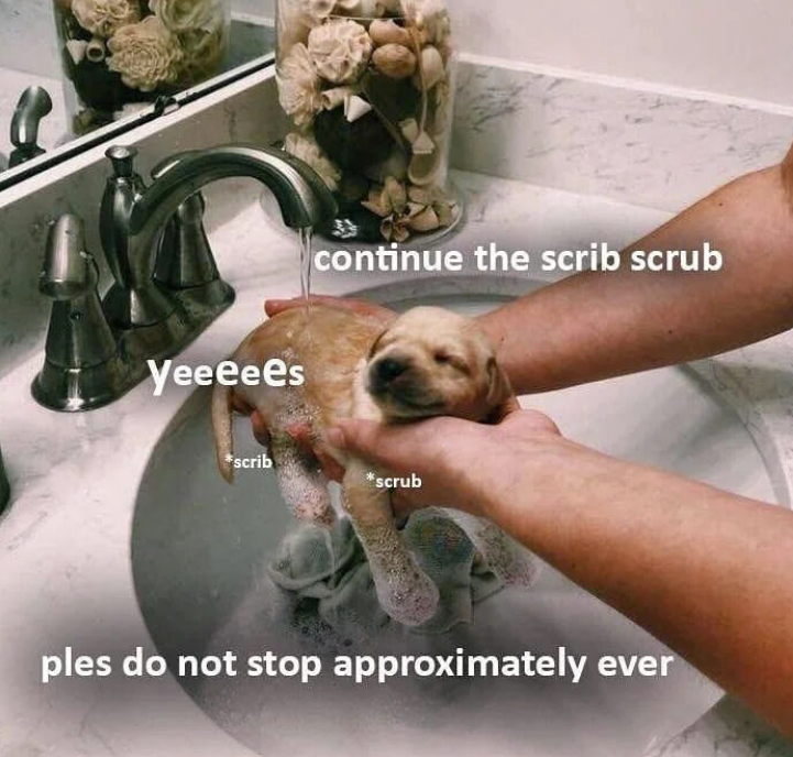 Yeeeees continue the scrib scrub scrib *scrub ples do not stop approximately ever