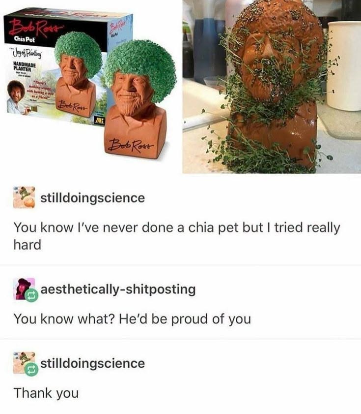 Bob Rost Chia Pet "Joy of Planting HANDMADE PLANTER "There's Bob Rost Bob Ross stilldoingscience You know I've never done a chia pet but I tried really hard aesthetically-shitposting You know what? He'd be proud of you stilldoingscience Thank you