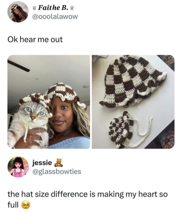 Faithe B. W @ooolalawow Ok hear me out jessie @glassbowties the hat size difference is making my heart so full