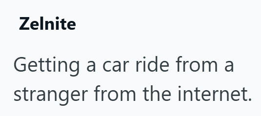 Zelnite Getting a car ride from a stranger from the internet.