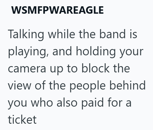 WSMFPWAREAGLE Talking while the band is playing, and holding your camera up to block the view of the people behind you who also paid for a ticket