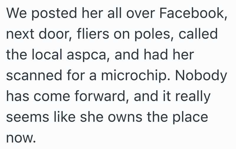 We posted her all over Facebook, next door, fliers on poles, called the local aspca, and had her scanned for a microchip. Nobody has come forward, and it really seems like she owns the place now.