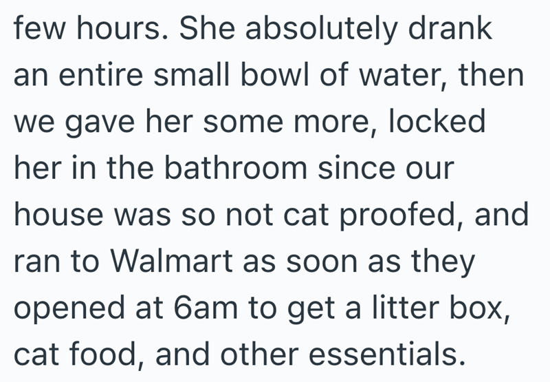few hours. She absolutely drank an entire small bowl of water, then we gave her some more, locked her in the bathroom since our house was so not cat proofed, and ran to Walmart as soon as they opened at 6am to get a litter box, cat food, and other essentials.